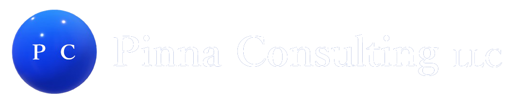 pinna consulting llc white logo