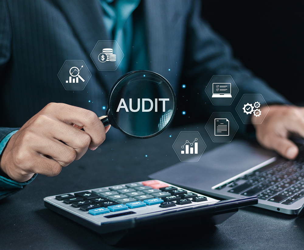 pinna consulting internal controls sub image